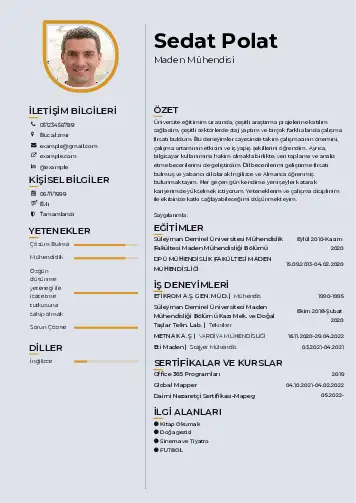 Maden Mühendisi Cv Örnekleri cv indir